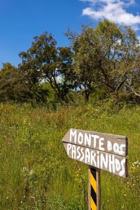 Вілла Monte Dos Passarinhos Грандола Екстер'єр фото